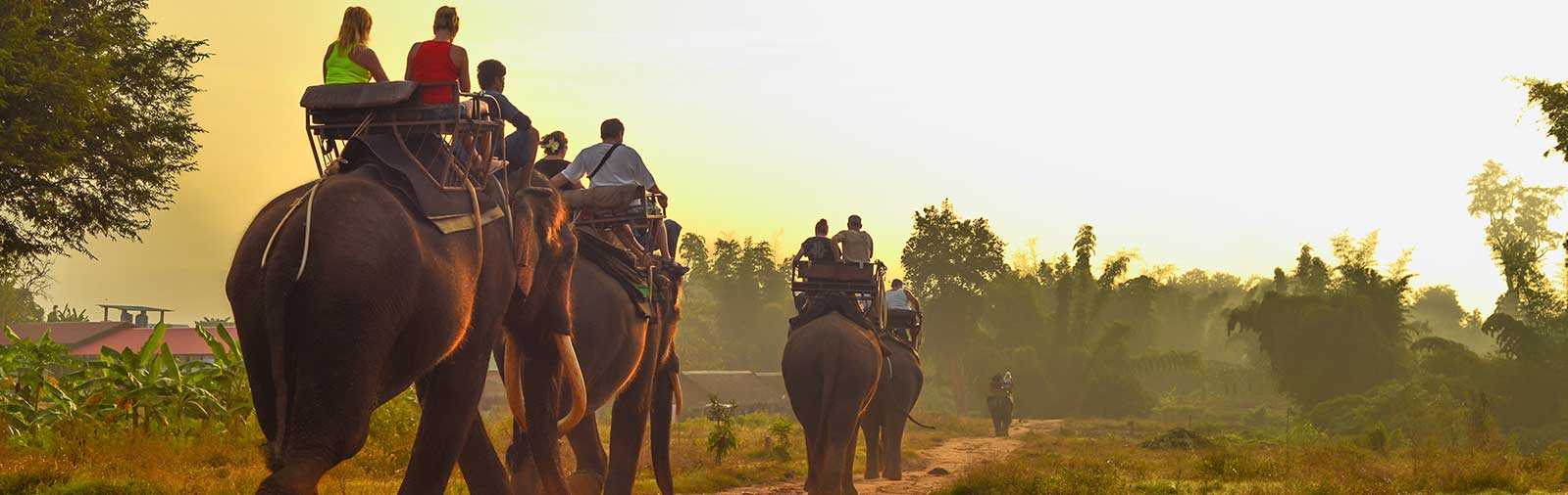 partir au sri lanka pour un voyage atypique